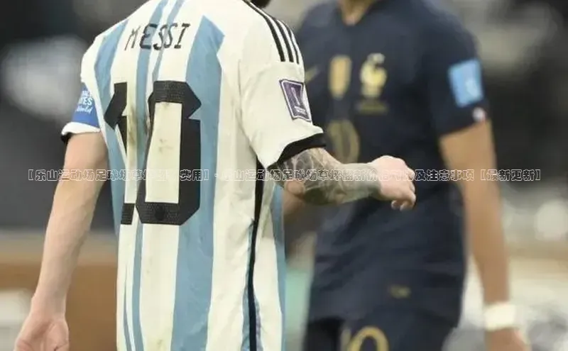 头号玩家app官方正版下载小米【乐山运动场足球场草坪翻新费用】- 乐山运动场足球场草坪翻新价格对比及注意事项【最新更新】