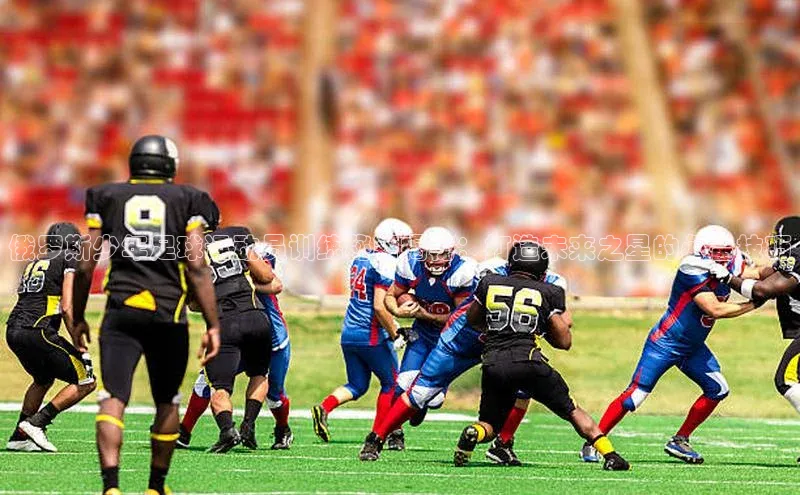 龙八国际app官方下载汉得信息俄罗斯少年足球运动员训练秘籍揭秘：打造未来之星的必备技巧