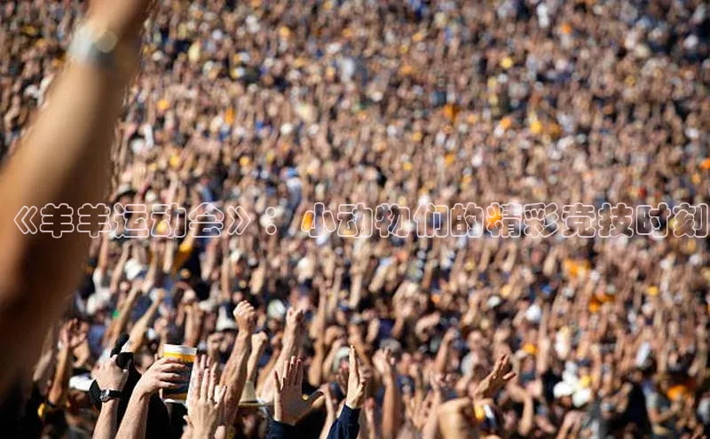 头号玩家唯一官网官方版光魔科技《羊羊运动会》：小动物们的精彩竞技时刻