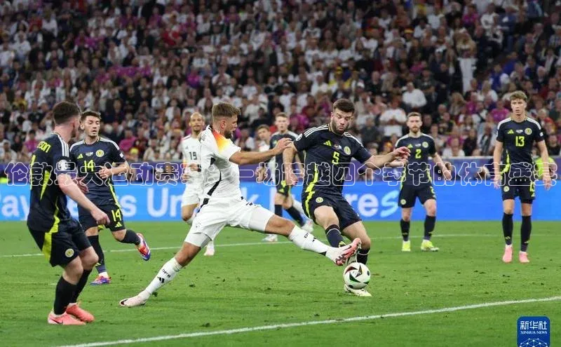 伦敦最大运动赛事：一场跨越四个季节的体育盛宴