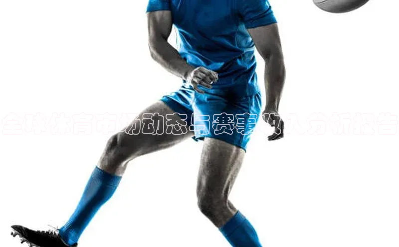 全球体育市场动态与赛事收入分析报告