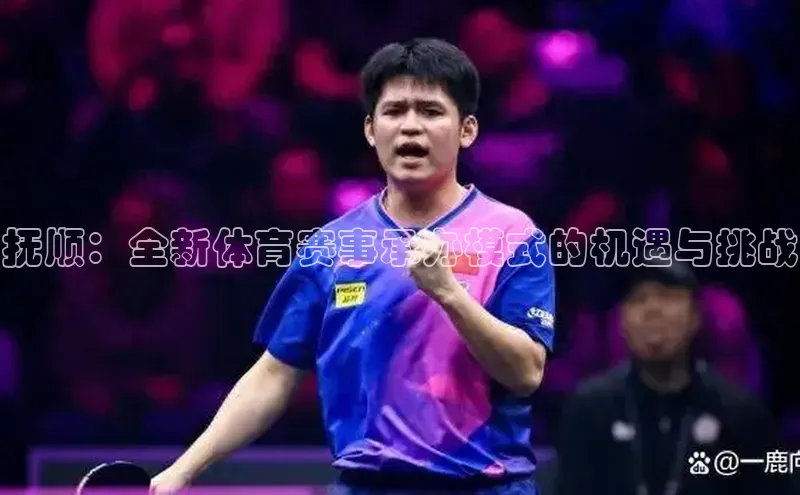 抚顺：全新体育赛事承办模式的机遇与挑战