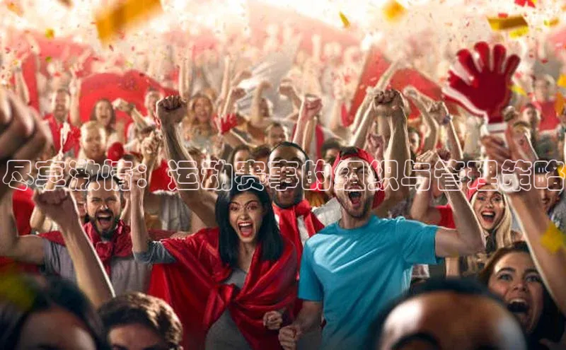 尽享激情：运动赛事的组织与管理策略