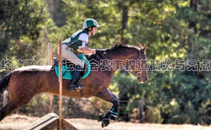 绽放激情：运动会赛事报道概览与亮点