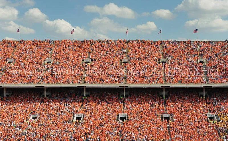 与飞跃：2023年跑步运动赛事画报设计指南