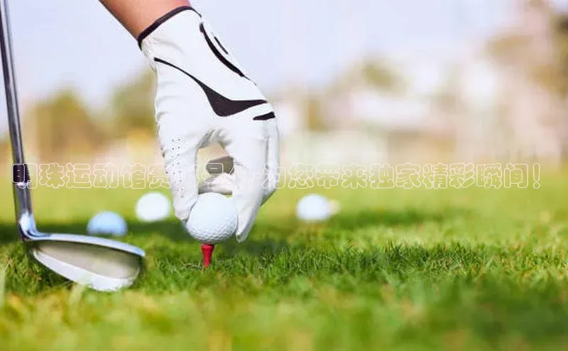 明珠运动馆赛事号外-为您带来独家精彩瞬间！