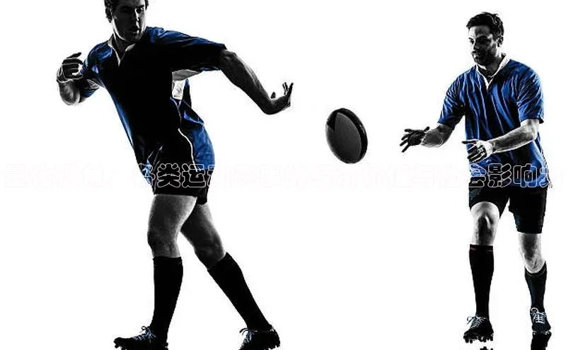 量化视角：各类运动赛事的经济价值与社会影响力