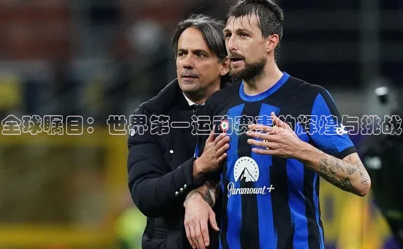 全球瞩目：世界第一运动赛事的辉煌与挑战