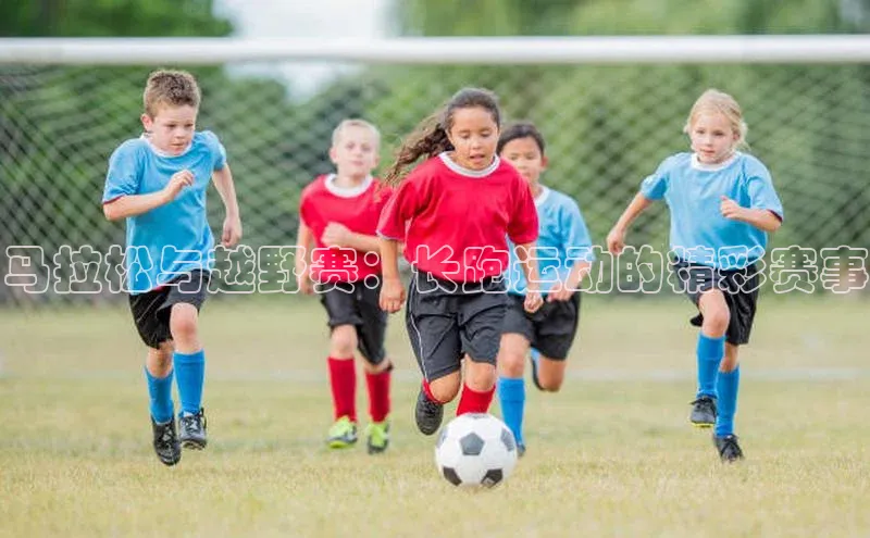 马拉松与越野赛：长跑运动的精彩赛事