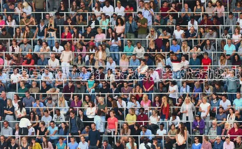 龙八国际app官网