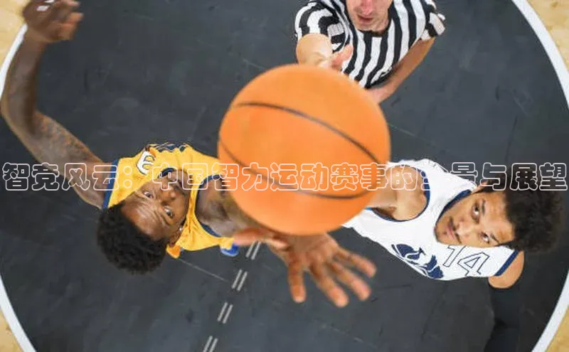 龙八国际app官网