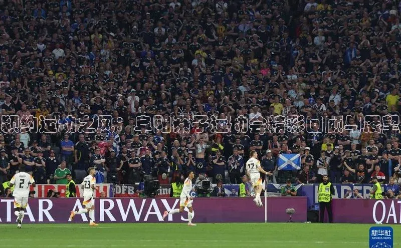 龙八国际下载链接